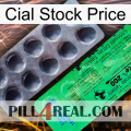 Cial Stock Price new04